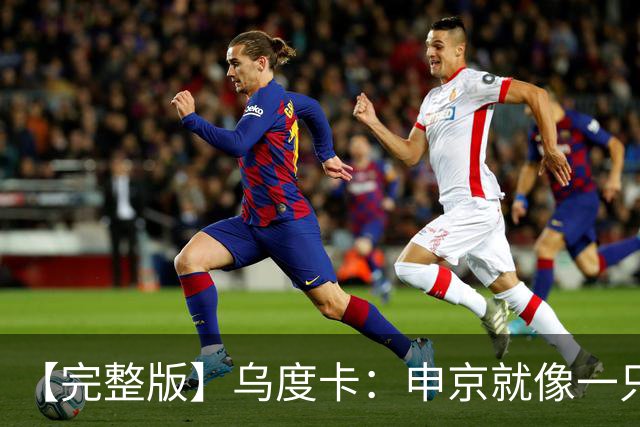 【完整版】乌度卡：申京就像一只斗牛犬 不在乎谁得分只要能赢球
