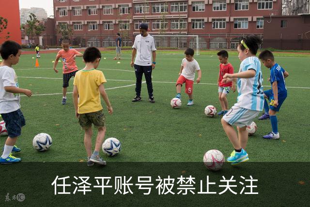 任泽平账号被禁止关注