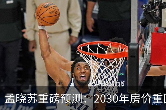 孟晓苏重磅预测：2030年房价重回前高没有悬念