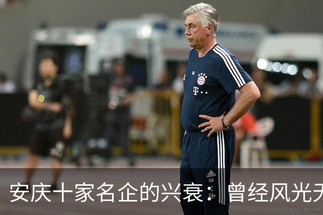 安庆十家名企的兴衰：曾经风光无限，如今只剩叹息