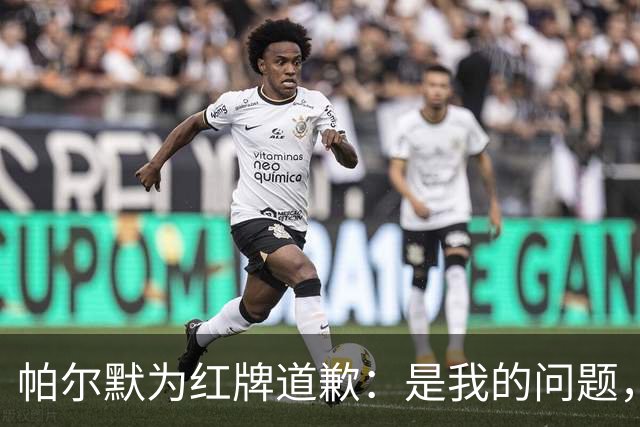 帕尔默为红牌道歉：是我的问题，会吸取教训