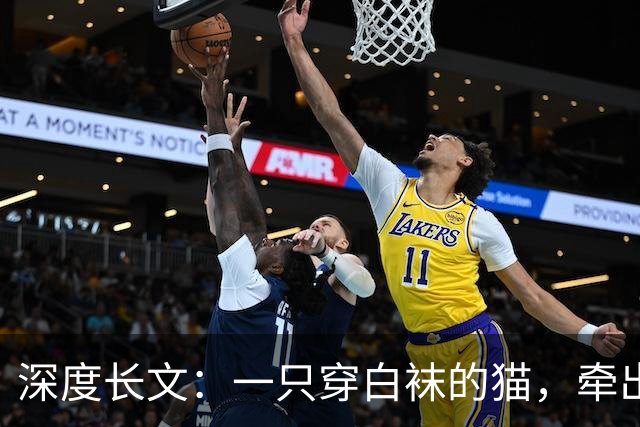 深度长文：一只穿白袜的猫，牵出 3 亿年前生命的建造法则！