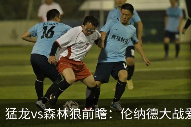 猛龙vs森林狼前瞻：伦纳德大战爱德华兹，一场不同风格的强硬对决