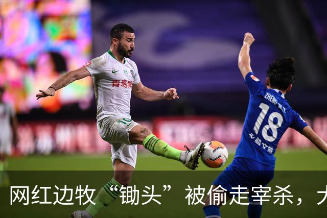 网红边牧“锄头”被偷走宰杀，犬主最新回应：双方已和解，对方赔偿30万元，将全部捐给宠物救助机构