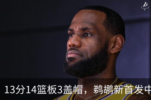 13分14篮板3盖帽，鹈鹕新首发中锋首秀交出两双