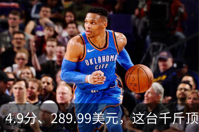 4.9分、289.99美元，这台千斤顶多了白色拉花