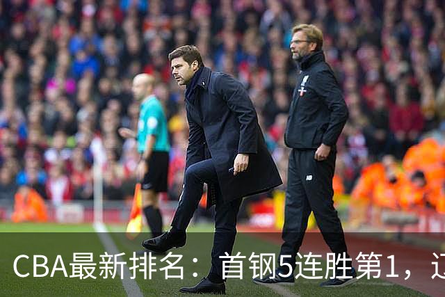 CBA最新排名：首钢5连胜第1，辽宁队第4，广东队跌至第15